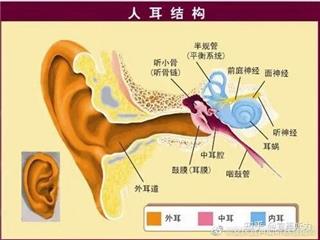 耳朵承受着这些压力你知道吗？