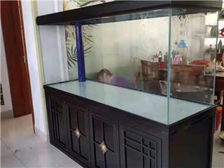 石家庄鱼缸清洗服务
