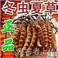 北京回收冬虫夏草海参燕窝