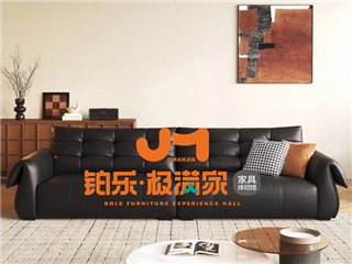 铂乐·极满家小天鹅沙发，舒适与美学的交融